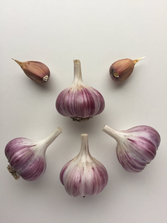 BC Garlic BC Garlic Growers Inc.